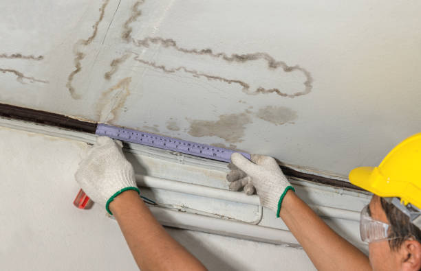 Reliable Mold Remediation contractor in Rancho Santa Margarita, CA by Water Damage Irwin